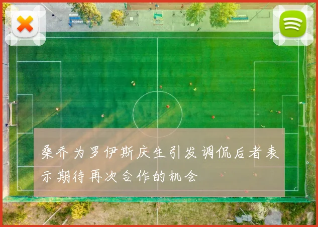 桑乔为罗伊斯庆生引发调侃后者表示期待再次合作的机会