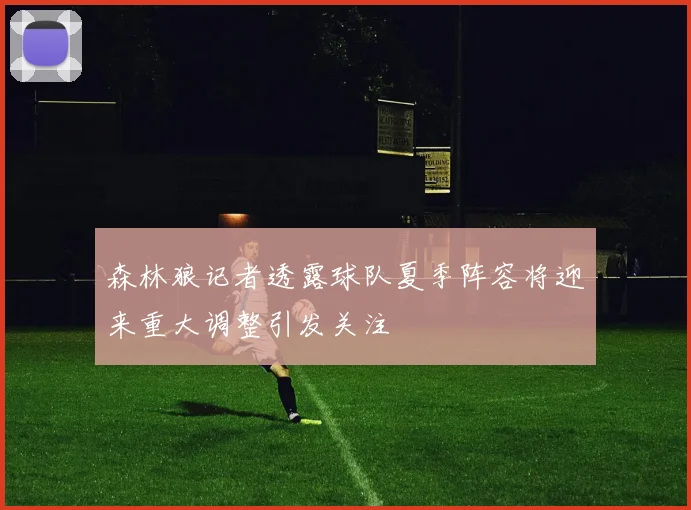 森林狼记者透露球队夏季阵容将迎来重大调整引发关注